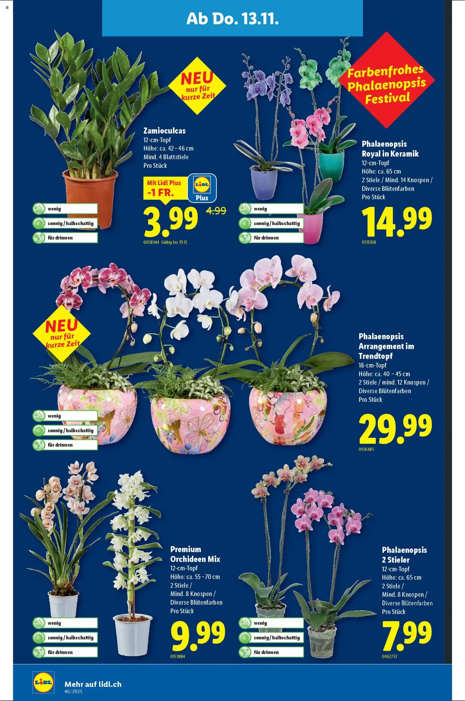 Lidl - Black Friday – gültig ab 13.11.2025 | Seite: 24