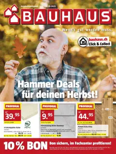 Bauhaus Aktionen ab 29.09.2025 gültig