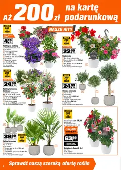 Pogląd oferty "OBI gazetka" - ważna od 22.04.2026 | Strona: 2 | Produkty: Rosliny