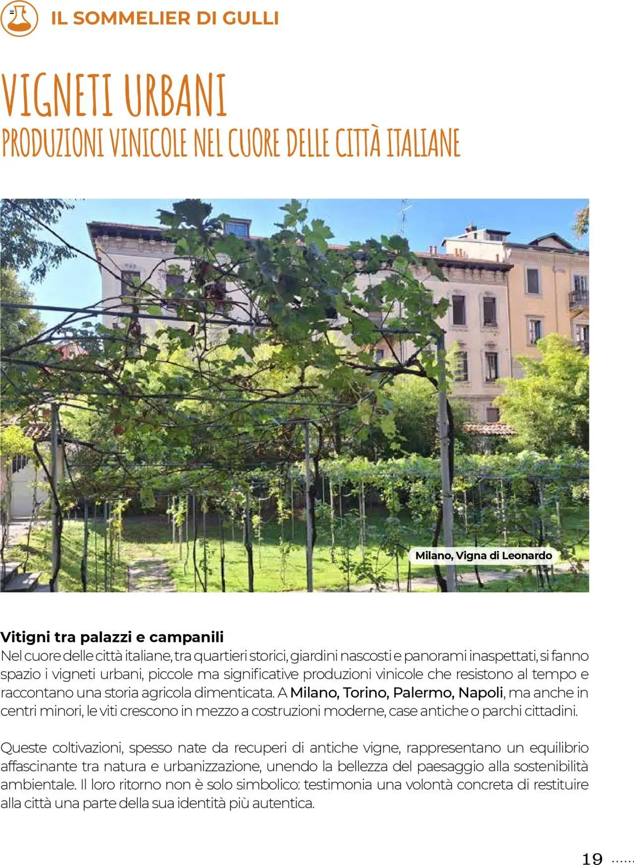 Volantino Gulliver del 01.08.2025 | Pagina: 19