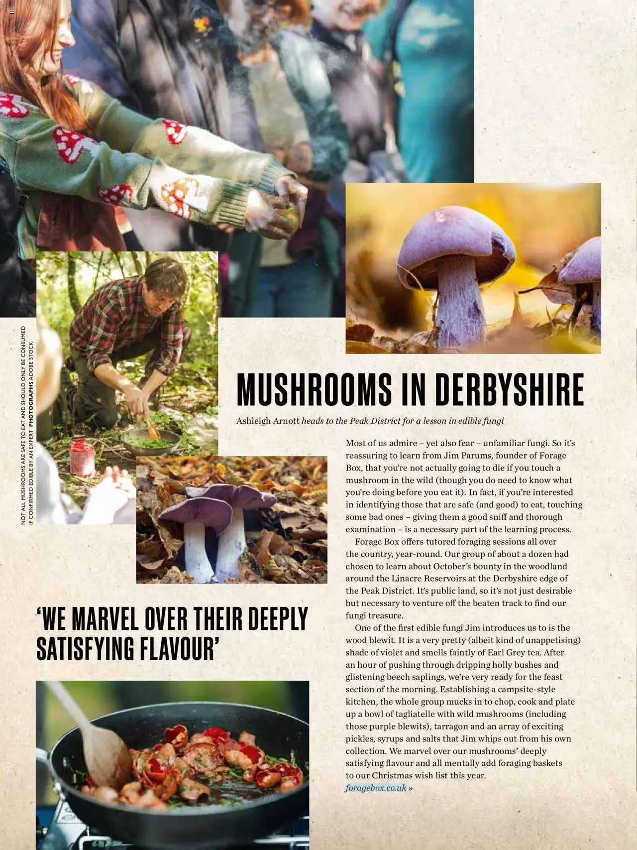  | Page: 90 | Products: Box, Mushrooms, Bowl