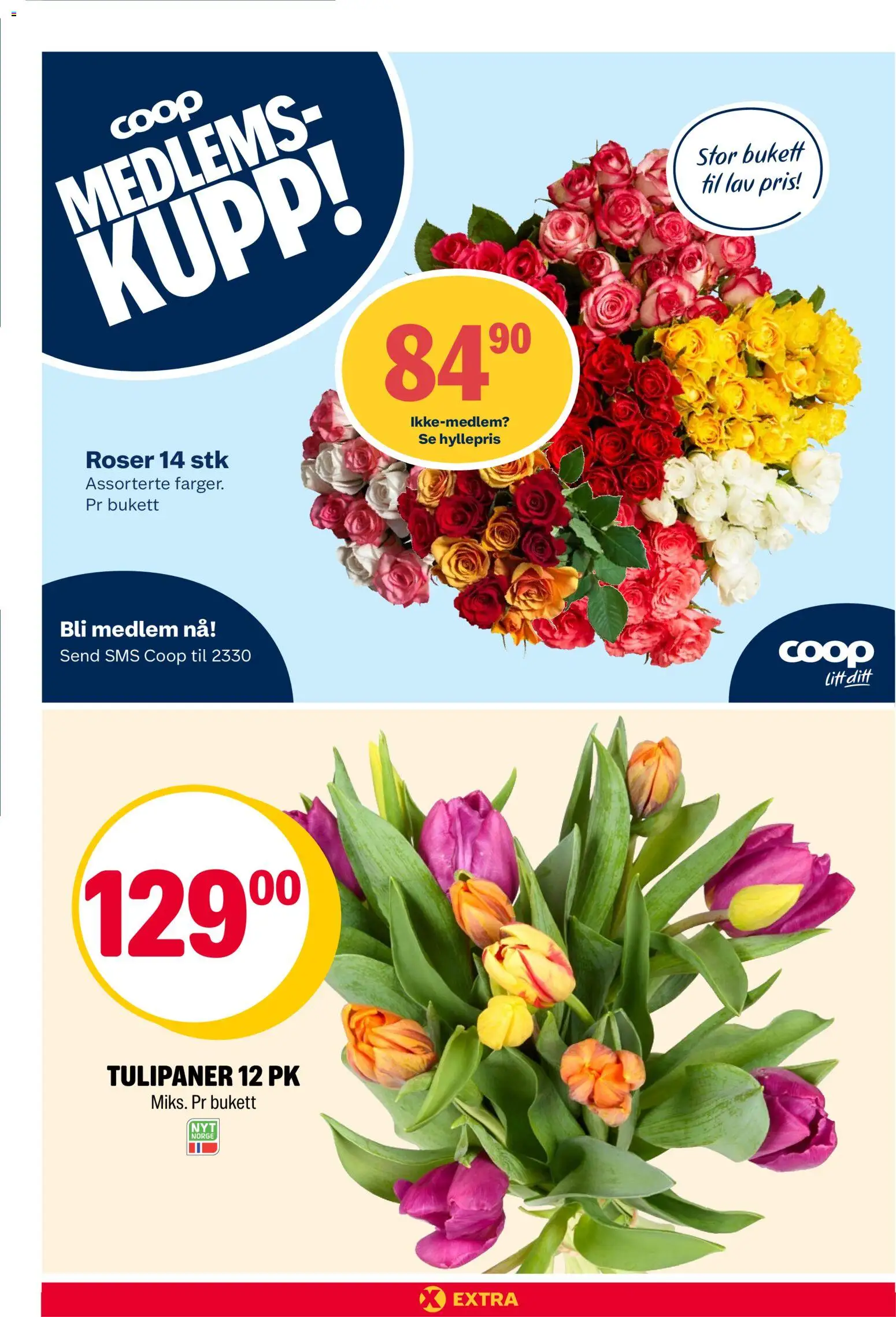 {H1} | Side: 24 | Produkter: Манна крупа, Fyldt pasta