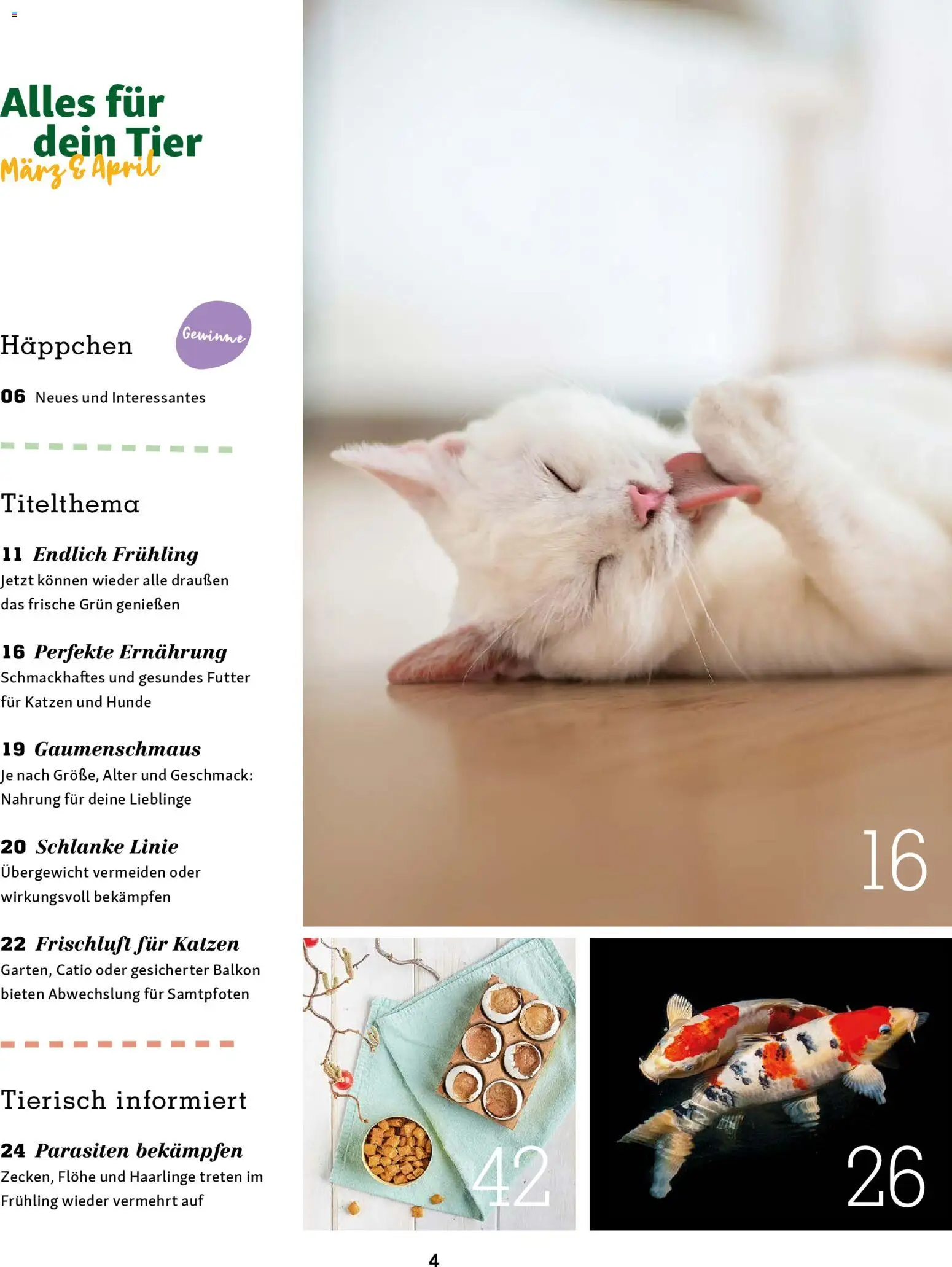 Fressnapf Friends Magazin – gültig ab 02.03.2026 | Seite: 4
