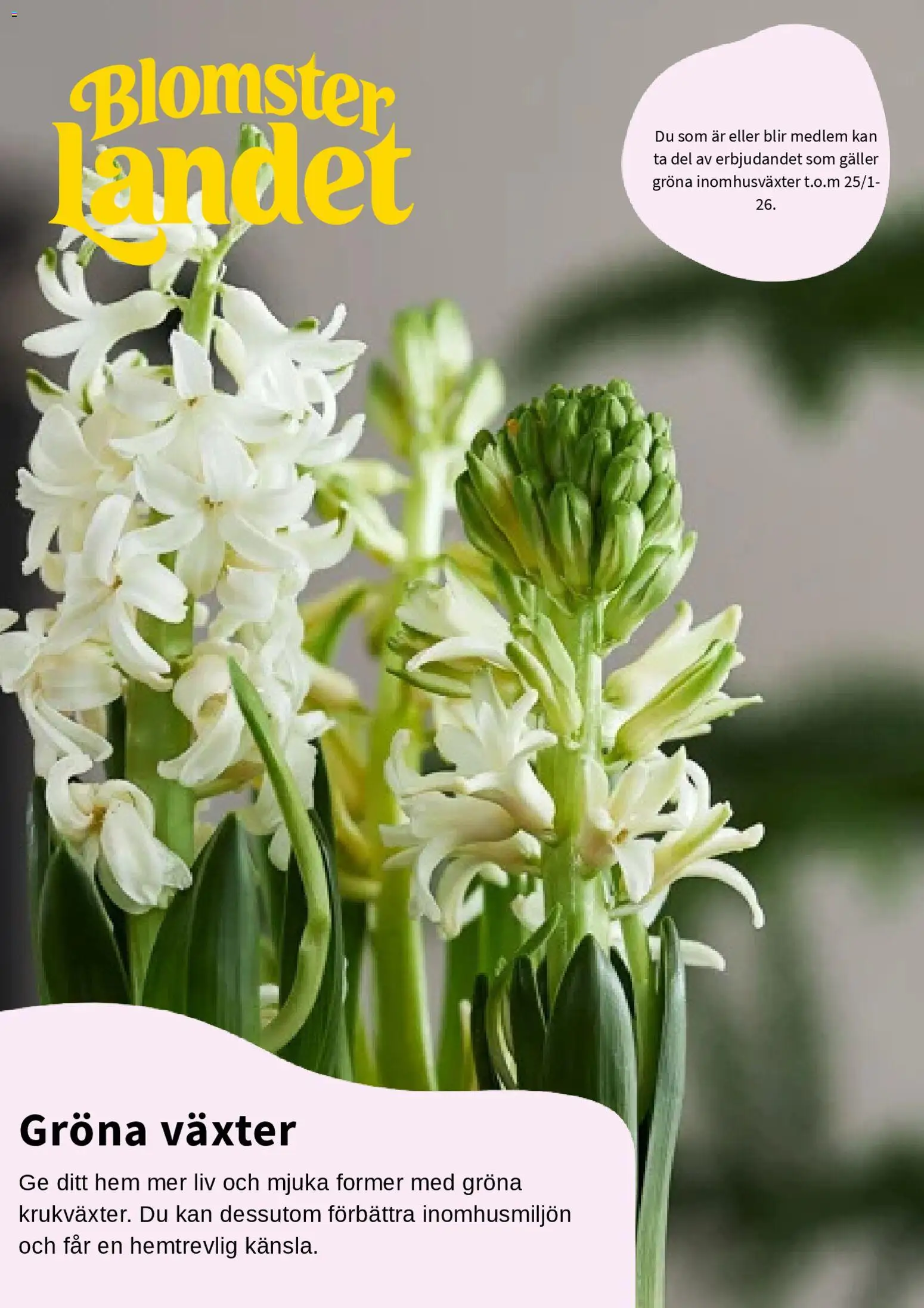 Blomsterlandet reklamblad aktuell från 15.01.2026 | Sida: 1 | Produkter: Galler