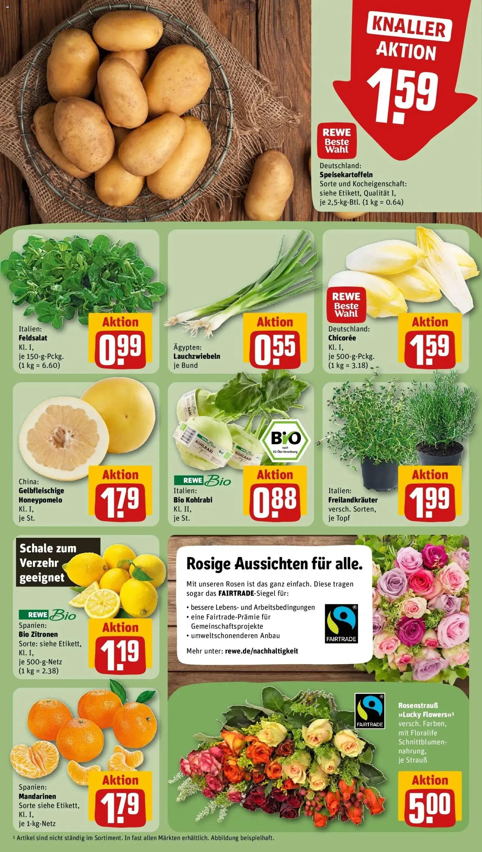 Rewe prospekt Hannover	 – gültig ab 16.02.2026 | Seite: 11 | Produkte: Kohlrabi, Mandarinen, Zitronen