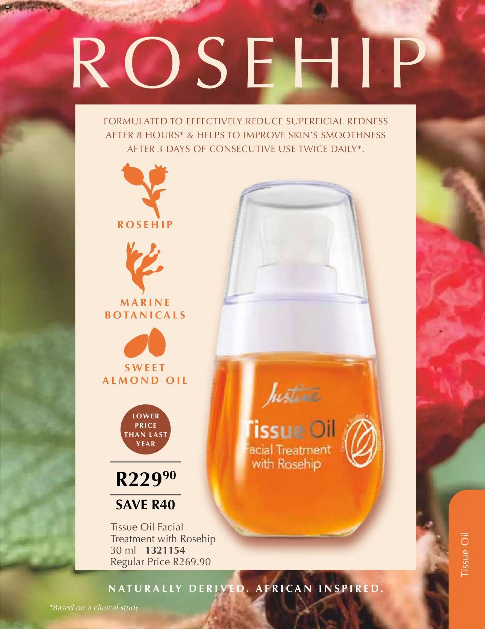 New Justine catalogue – valid from 01.01.2026 | Page: 29