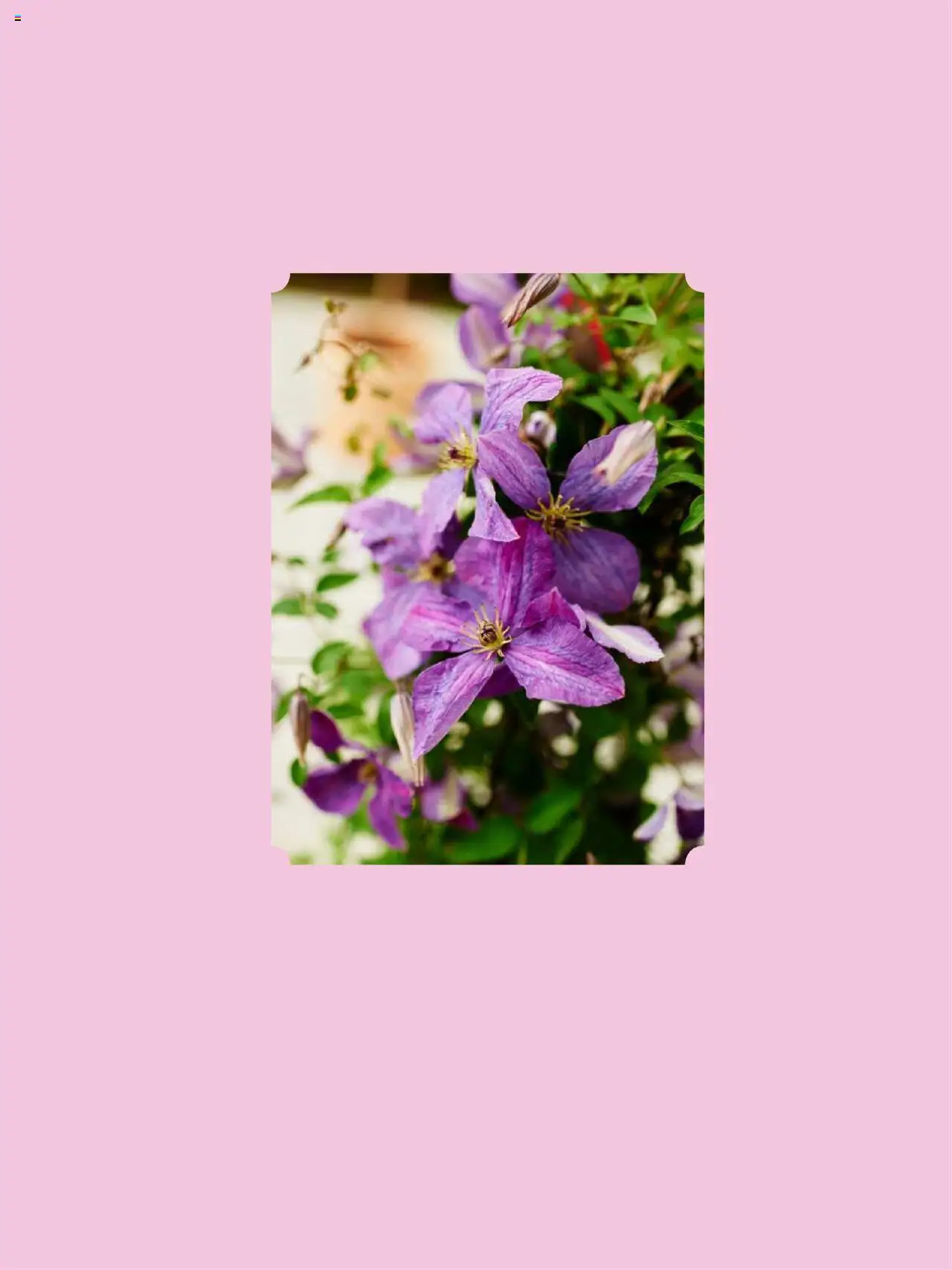  | Side: 21