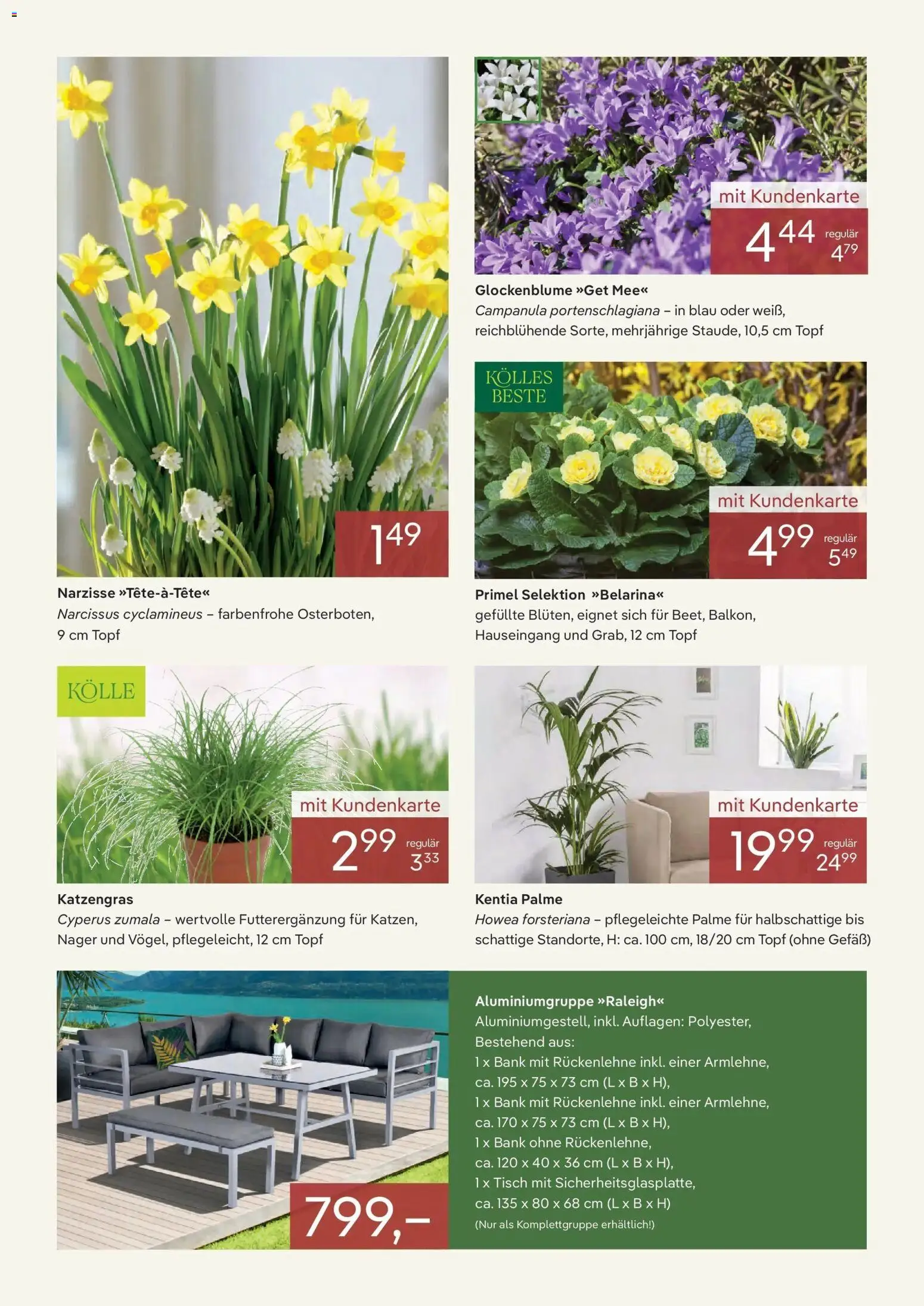 Pflanzen-Kölle Prospekt 	 – gültig ab 01.01.2026 | Seite: 2 | Produkte: Tisch