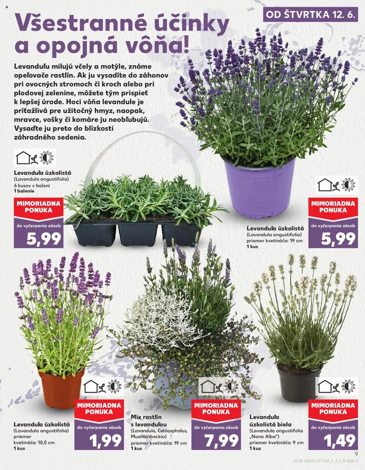 Nové Kaufland akcie – leták je platný od 12.06.2025 | Strana: 9