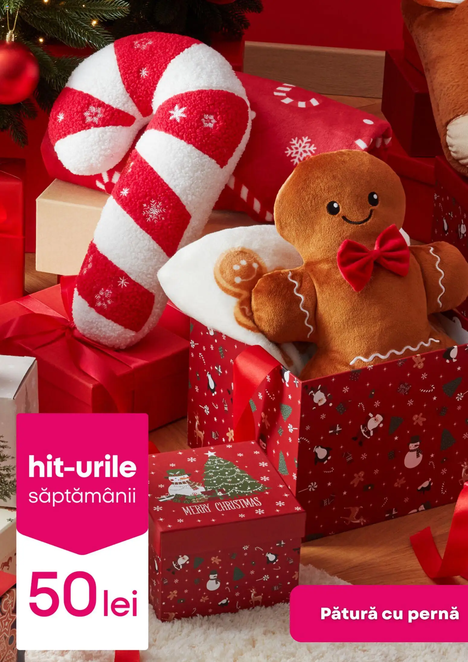 Noul catalog Pepco – valabil de la 11.12.2025 | Pagină: 3 | Produse: Pernă, Pătură