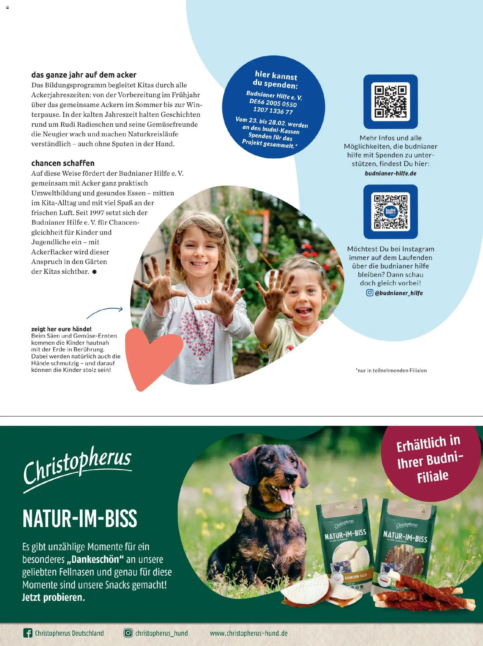 Budni Perle Magazin 01/26 – gültig ab 05.01.2026 | Seite: 49 | Produkte: Hahnchen