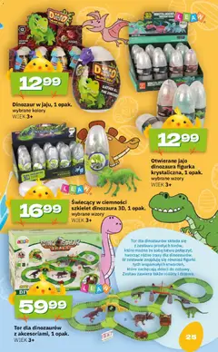 Pogląd oferty "Twój Market gazetka - Wielkanoc" - ważna od 09.03.2026 | Strona: 25 | Produkty: Figurki, Rosliny