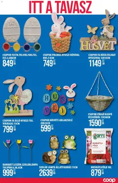 COOP Szolnok akciós újság - amely érvényes a következő dátumtól: 12.03.2026 | Oldal: 11