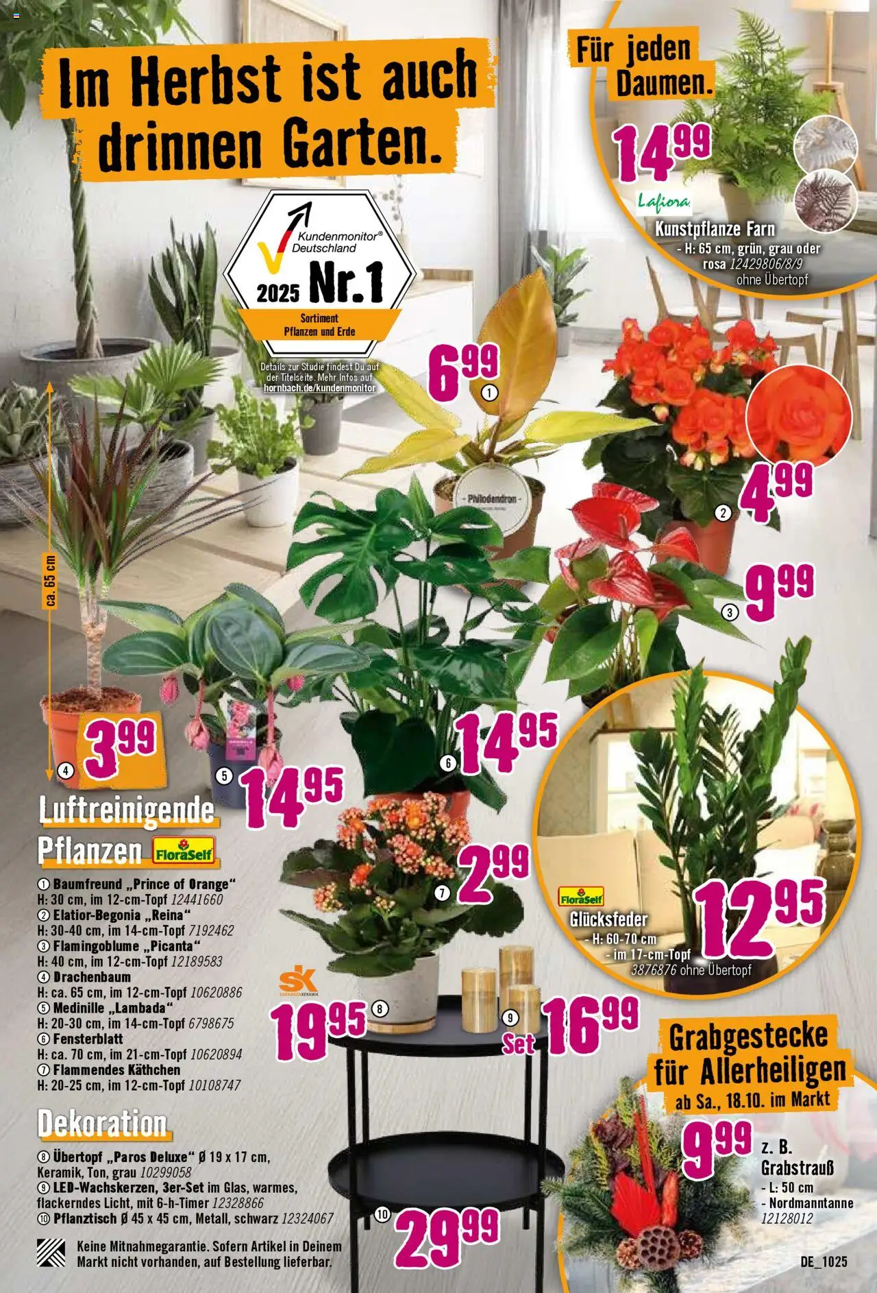 Hornbach Prospekt 	 – gültig ab 04.10.2025 | Seite: 27