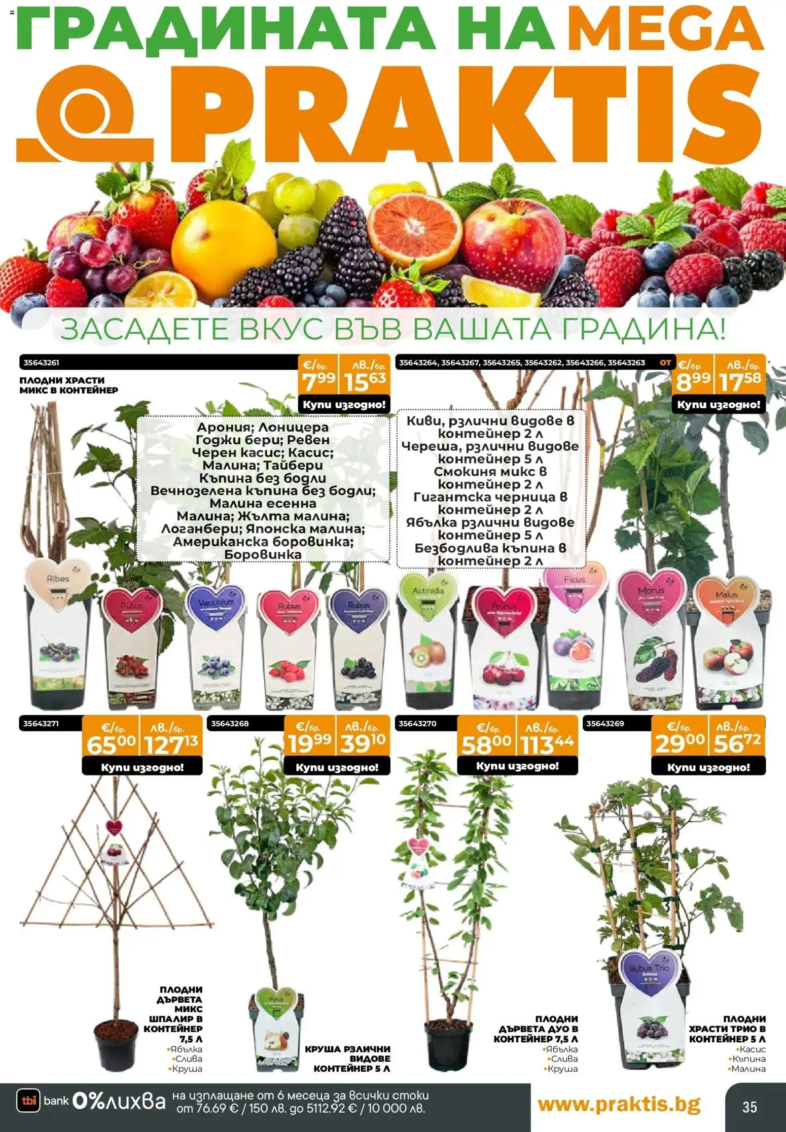 {H1} | Страница: 35 | Продукти: Круша, Малина, Контейнер