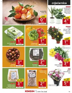 GARDEN GOOD INDIJSKI ORAH, 400g, 1kg=9,48EUR - Pregled kataloga iz trgovine Konzum, vrijedi od 22.10.2025 | Stranica: 13