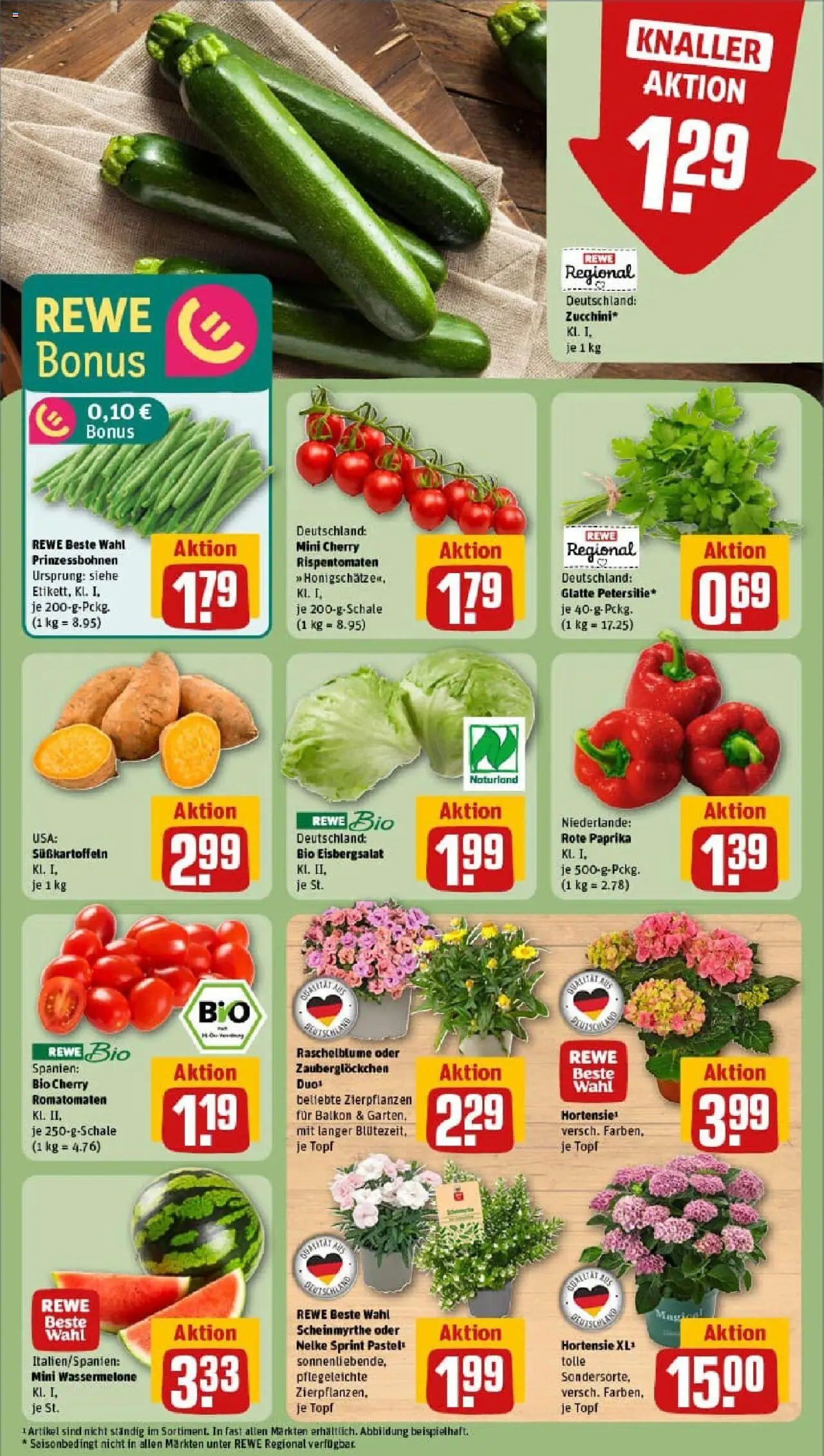 Rewe prospekt Duisburg / Bergheim	 - gültig ab dem 22.06.2025 | Seite: 5 | Produkte: Hortensie, Eisbergsalat, Paprika, Wassermelone