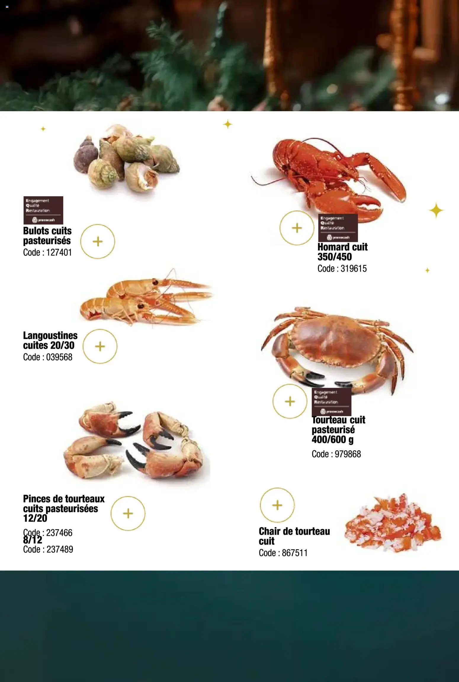 {H1} | Page: 24 | Produits: Tourteau cuit, Bulots cuits, Pinces, Homard