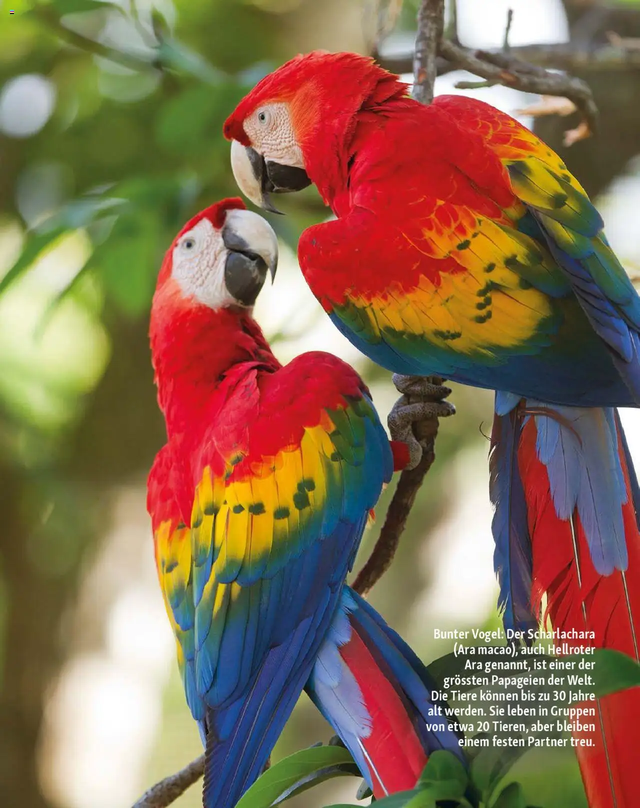 Fressnapf Magazin ab 01.07.2025 | Seite: 13