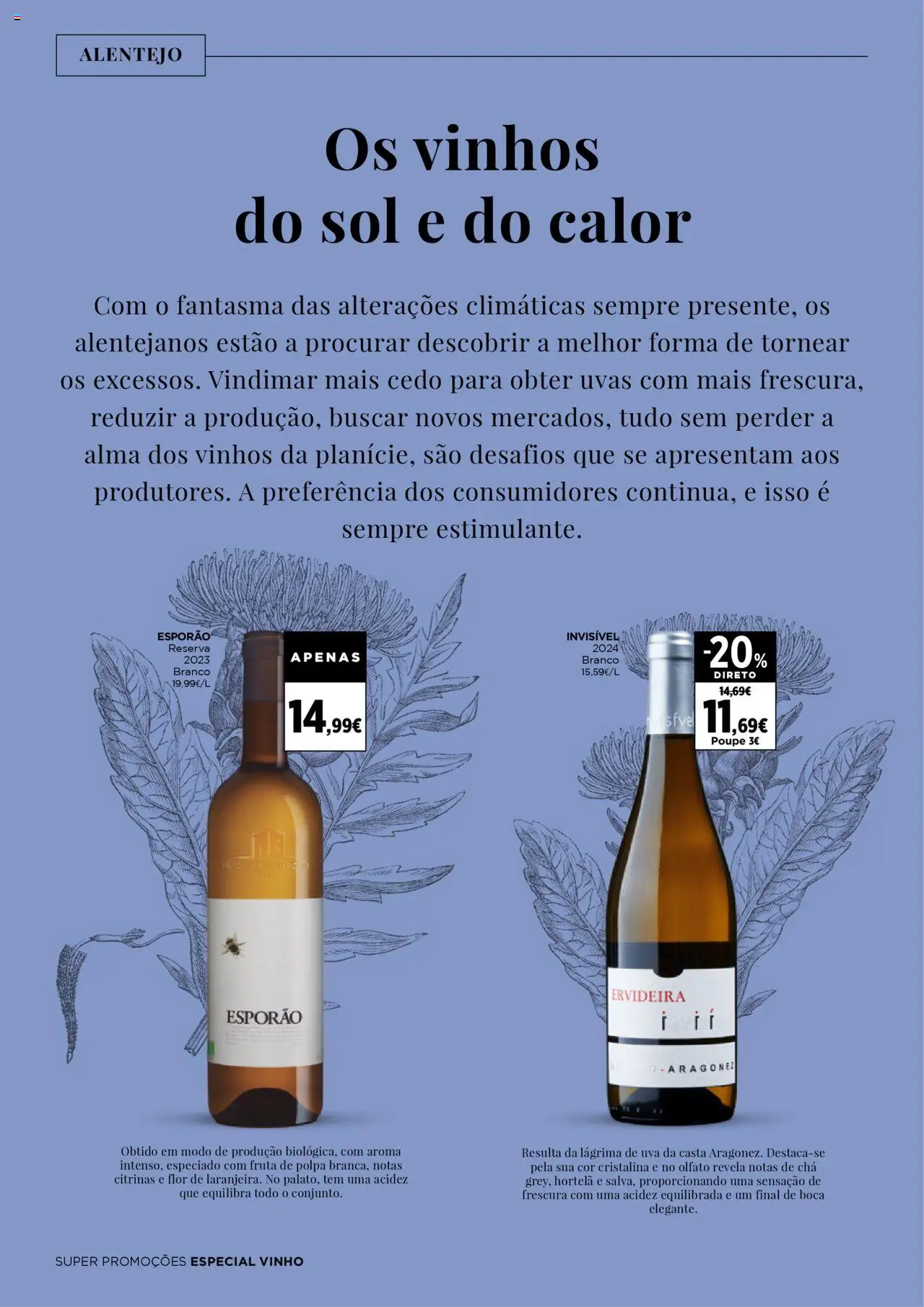 El Corte Ingles folheto │ válido de 19.09.2025 | Página: 24 | Produtos: Hortelã, Vinho, Chá, Uvas
