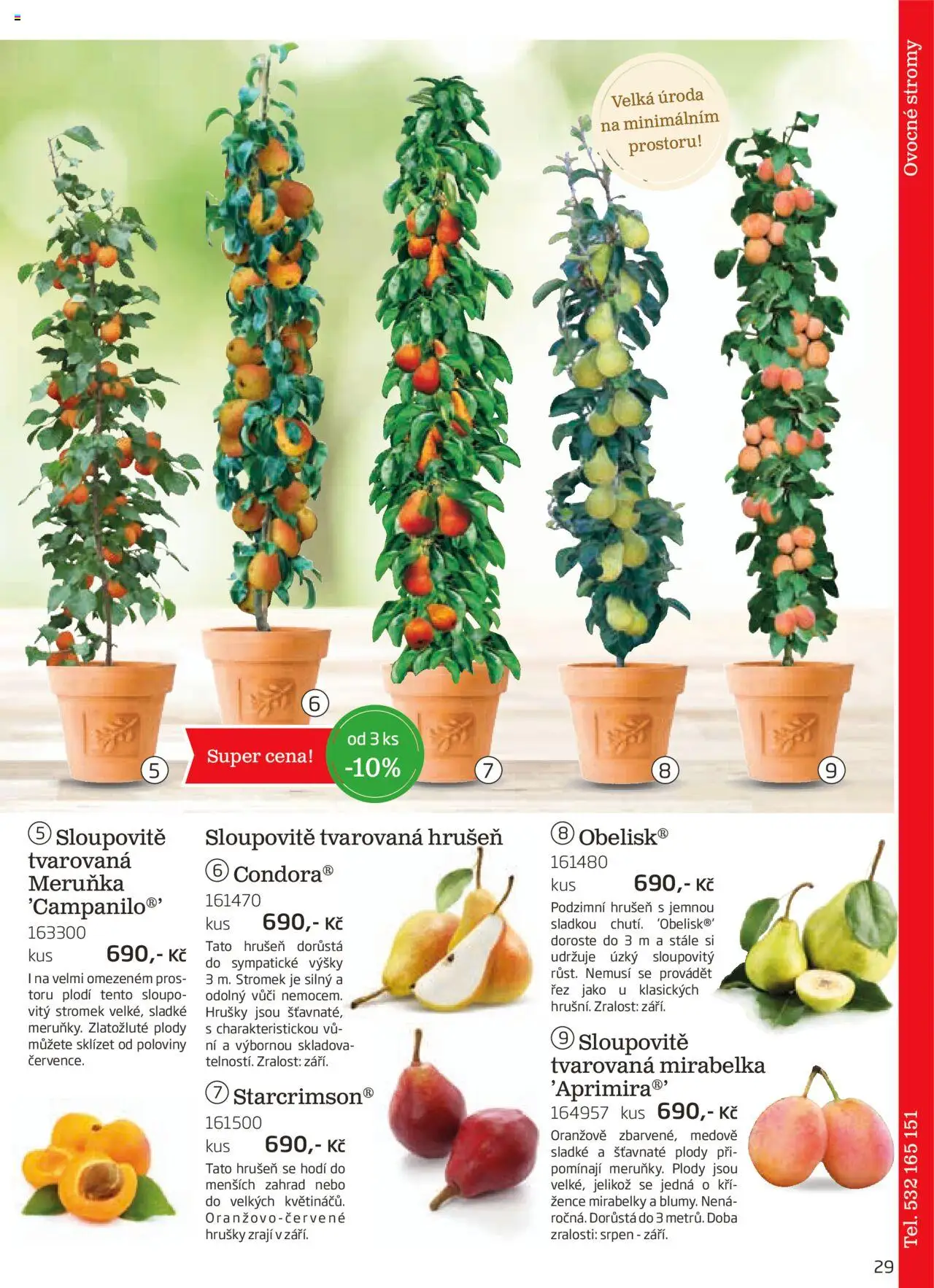 Starkl katalog podzim 2025 od 01.08.2025 | Strana: 29 | Produkty: Hrušky
