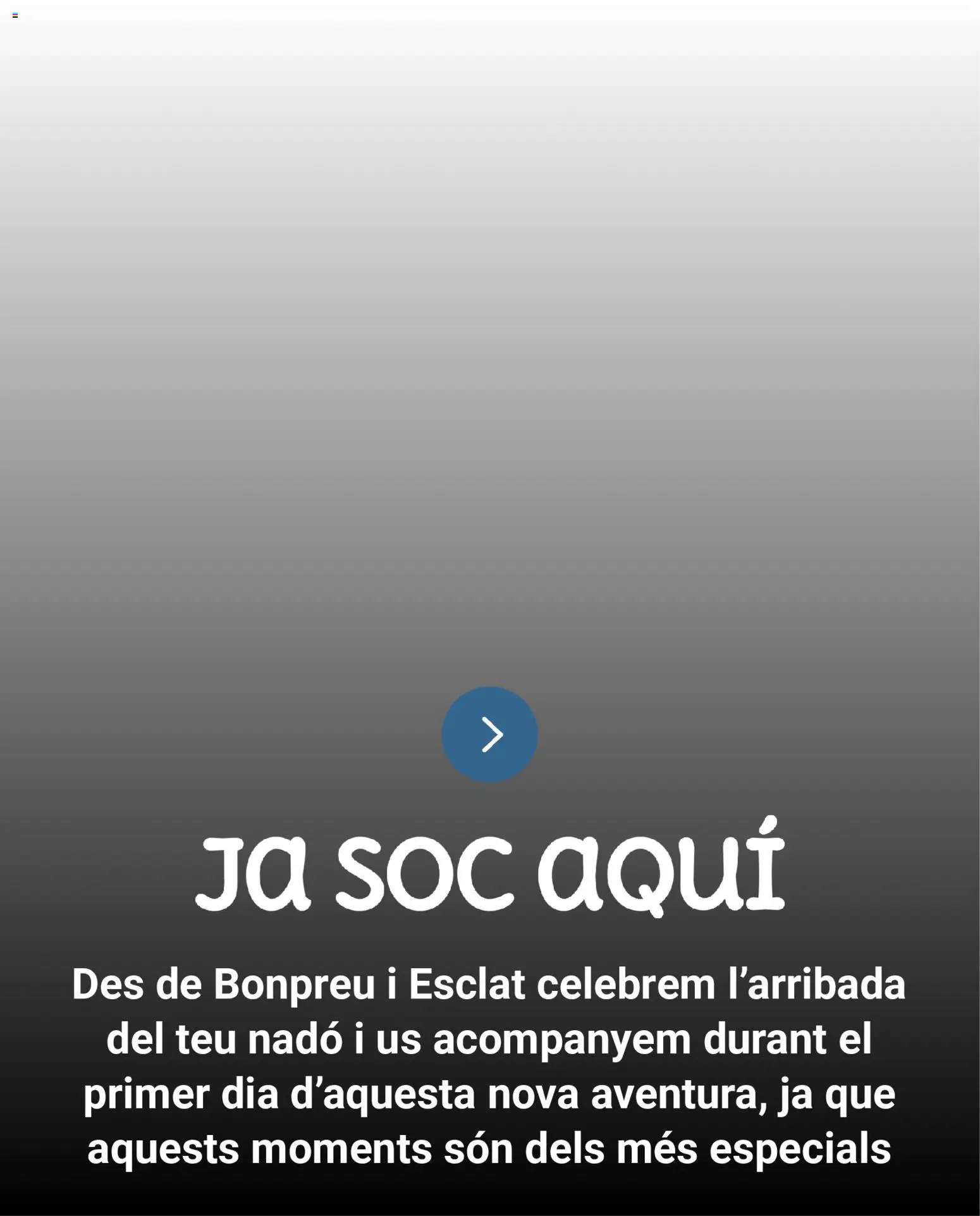 Bonpreu folleto │ válido desde el 08.04.2026 | Página: 39