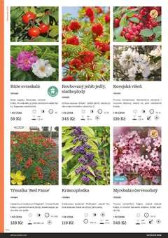 Náhled letáku Starkl katalog od 25.02.2026 | Strana: 44