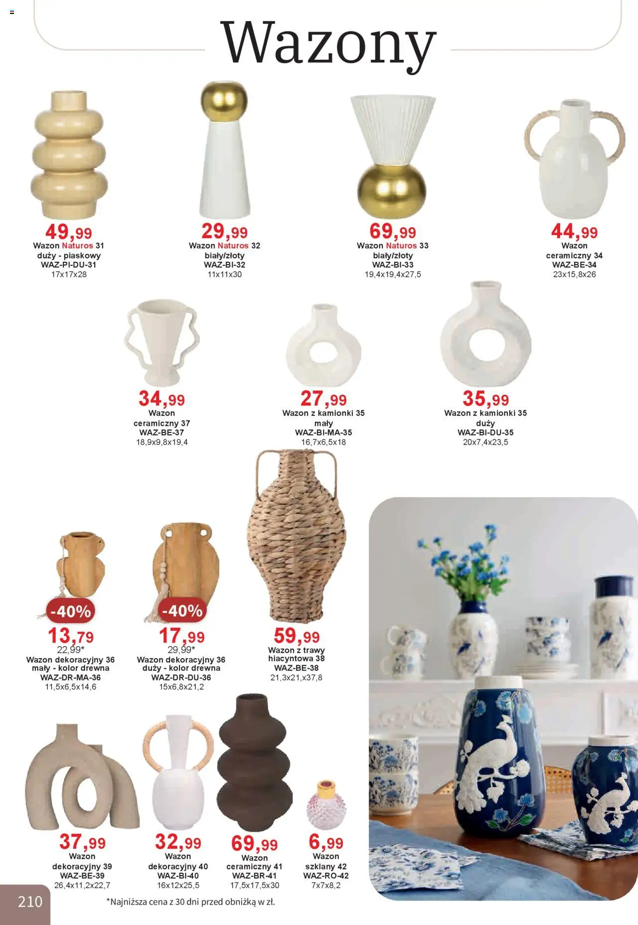 Bodzio Katalog od 01.10.2025 | Strona: 210 | Produkty: Trawy, Wazon