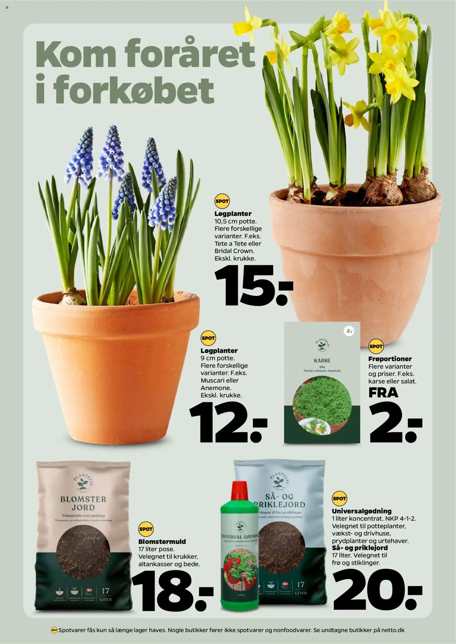 Netto tilbudsavis – gyldig fra 31.01.2026 | Side: 27 | Produkter: Karse