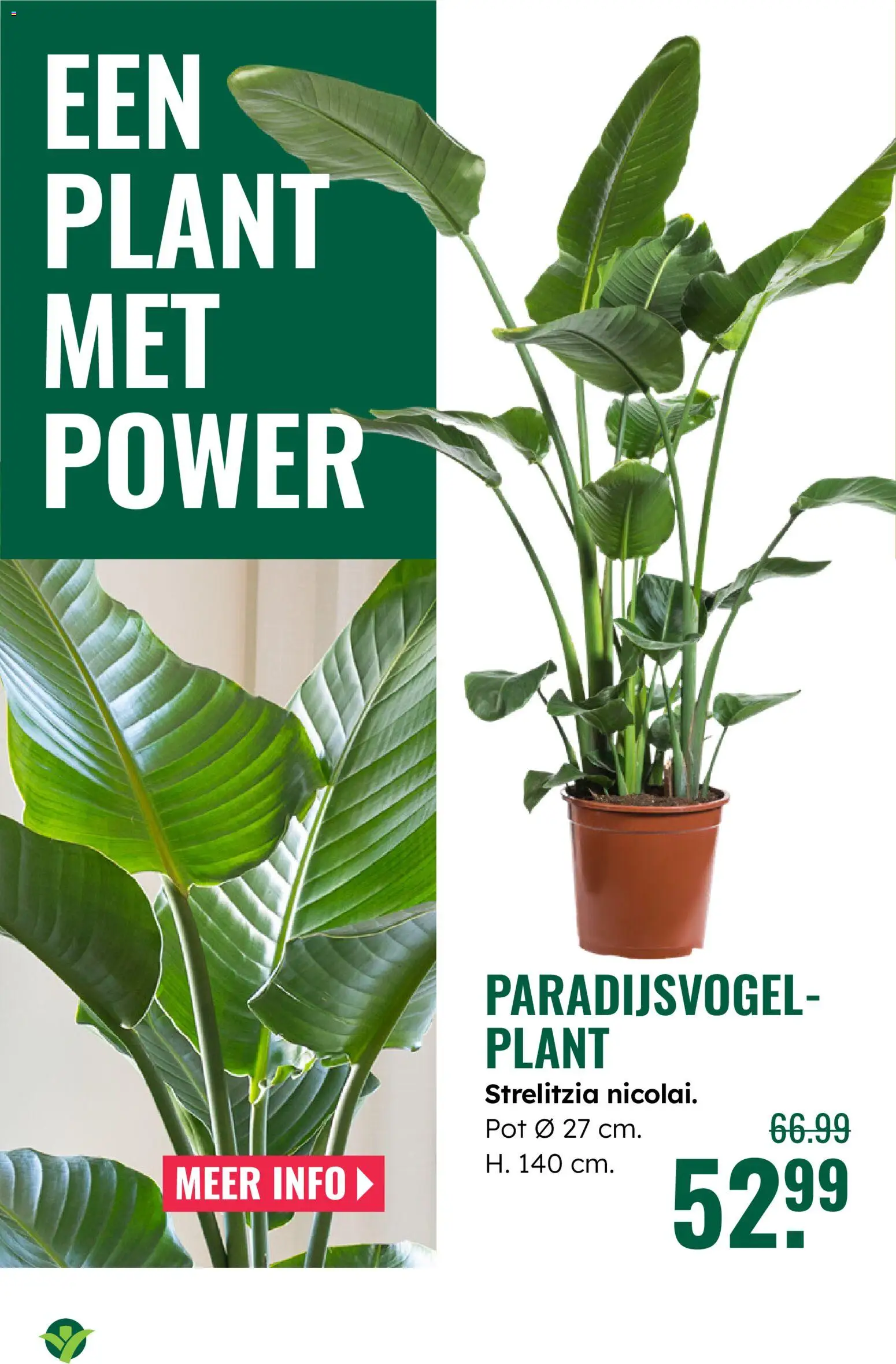 {H1} | Pagina: 8 | Producten: Pot