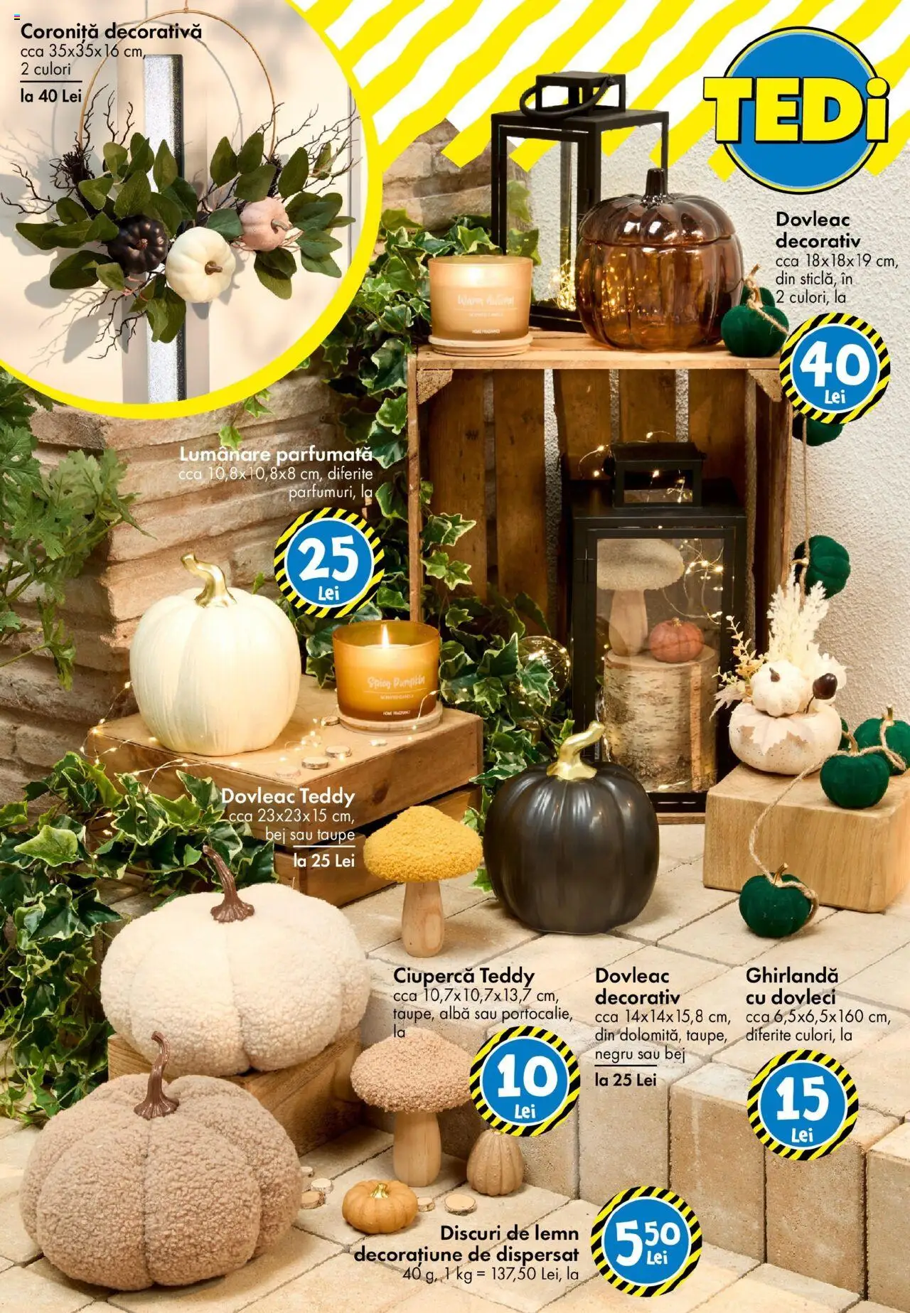 Catalog TEDi – valabil de la 08.08.2025 | Pagină: 19 | Produse: Dovleac, Lumânare