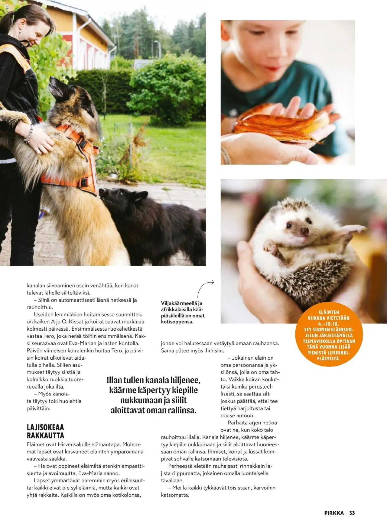 K-Citymarket - Pirkka – voimassa 01.10.2025 alkaen | Sivu: 33 | Tuotteet: Voi, Tee