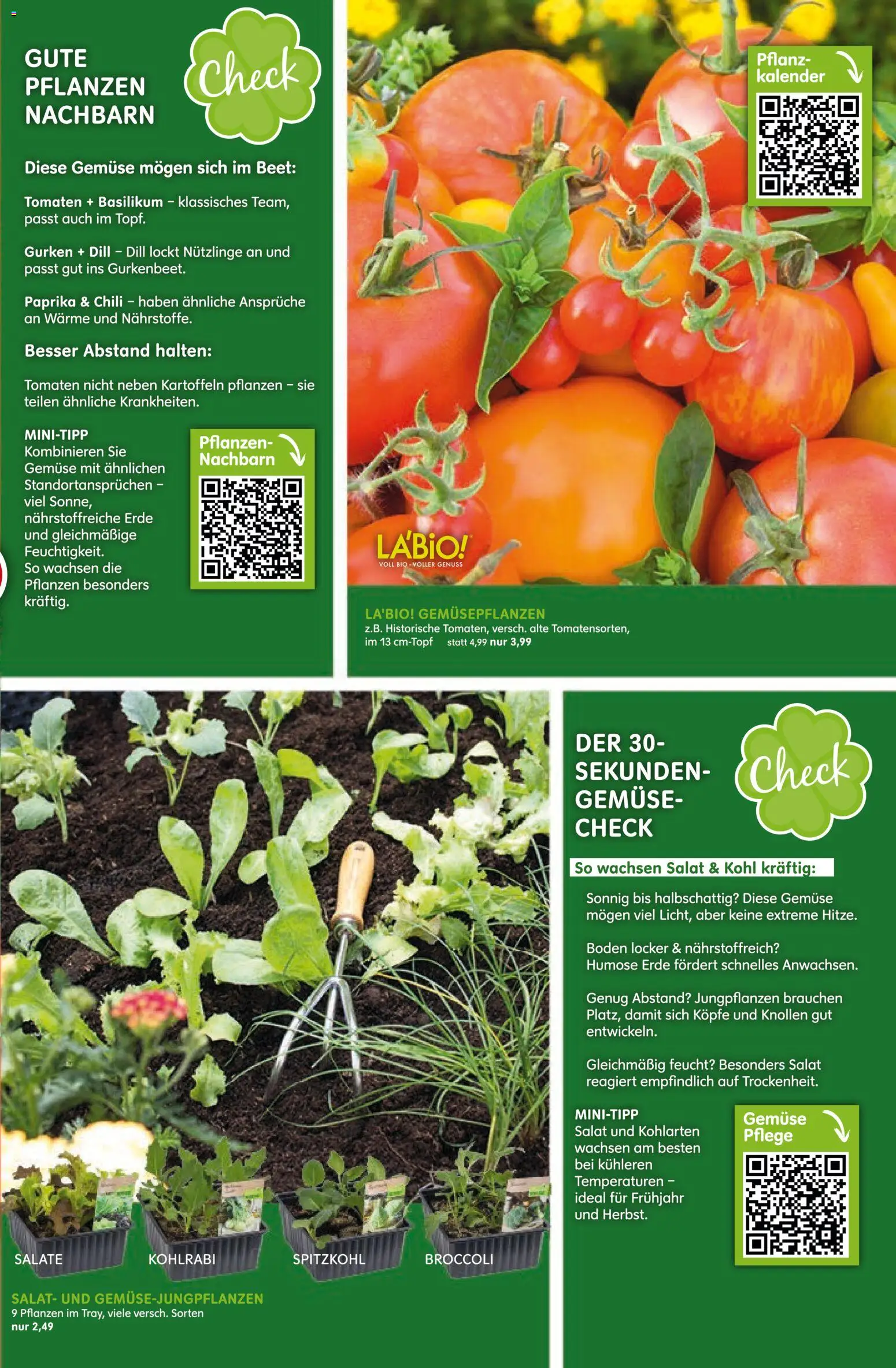 Blumen Risse Prospekt 	 – gültig ab 16.04.2026 | Seite: 3 | Produkte: Tomaten, Gemüse, Paprika, Gurken