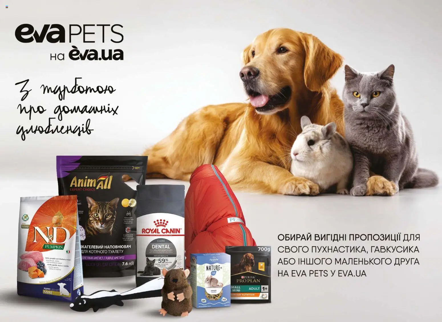 Eva Kаталог - дійснийкції з 13.11.2025 | Сторінка: 46