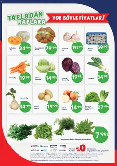 04.02.2026 tarihinden itibaren geçerli olan Kim Market kataloğu önizlemesi | Sayfa: 6