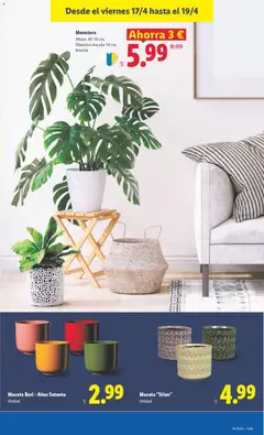 Vista previa Maceta Bari - Años Setenta, Maceta válido desde el 13.04.2026 | Página: 39 | Productos: Maceta