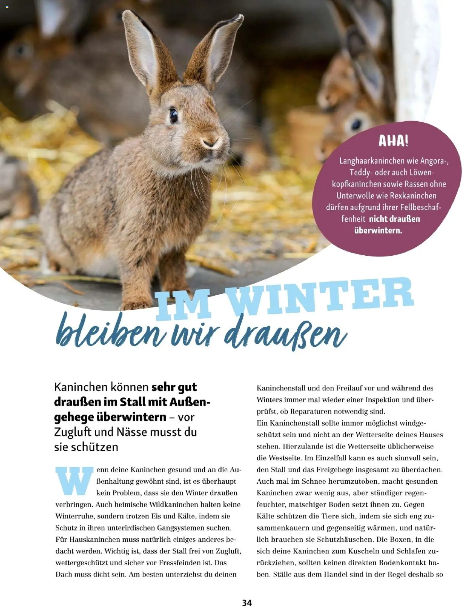 Fressnapf Friends 06/25 gültig ab 01.11.2025 | Seite: 34 | Produkte: Eis