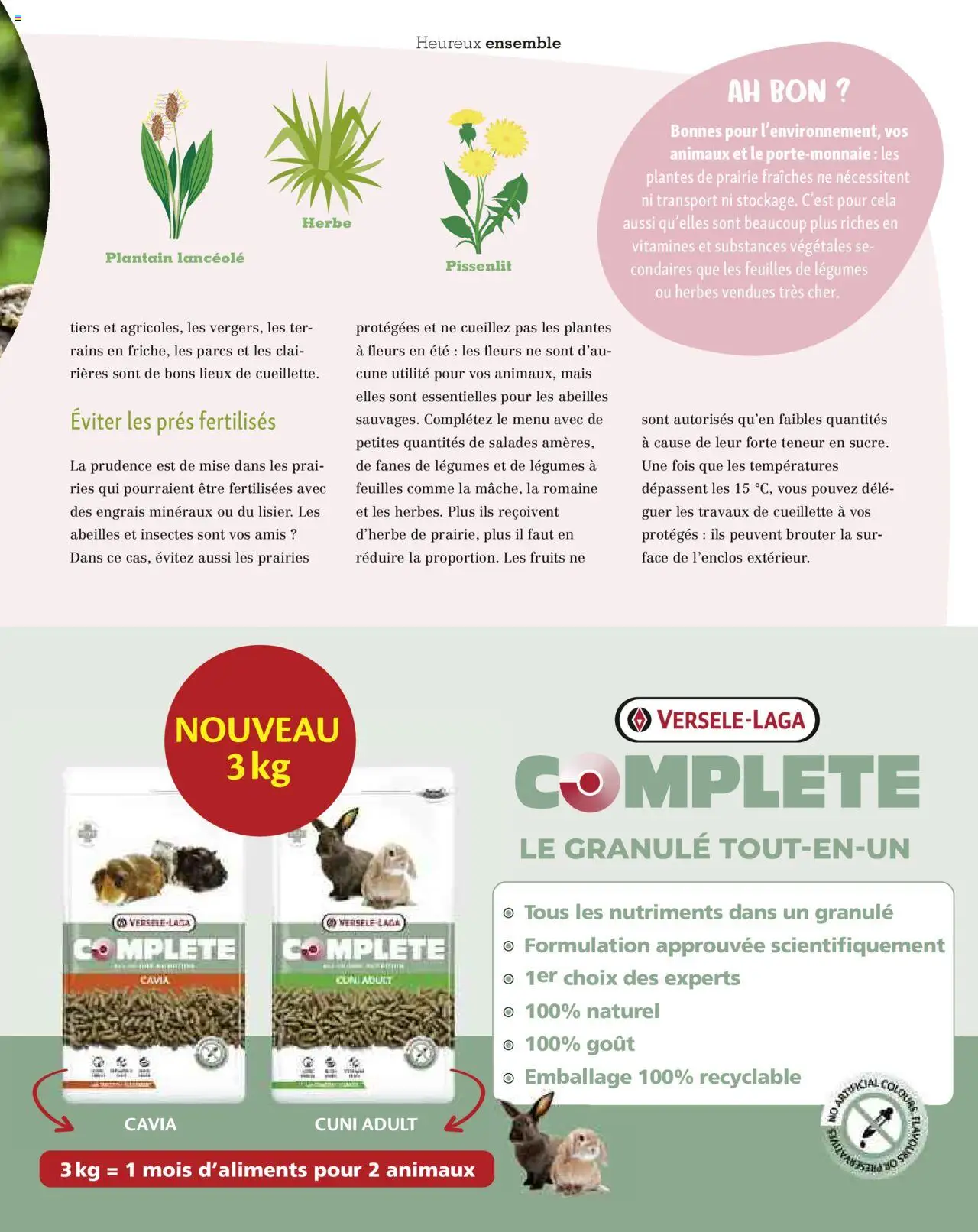  | Page: 49 | Produits: Plantes, Mais