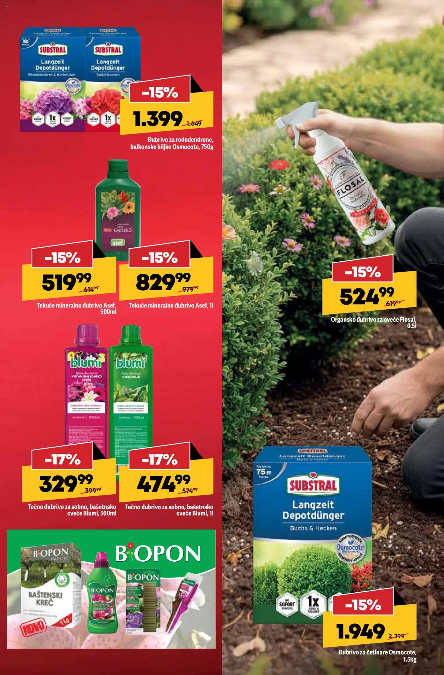 Mega Maxi katalog - važi od 26.02.2026 | Strana: 9 | Proizvode: Cvece