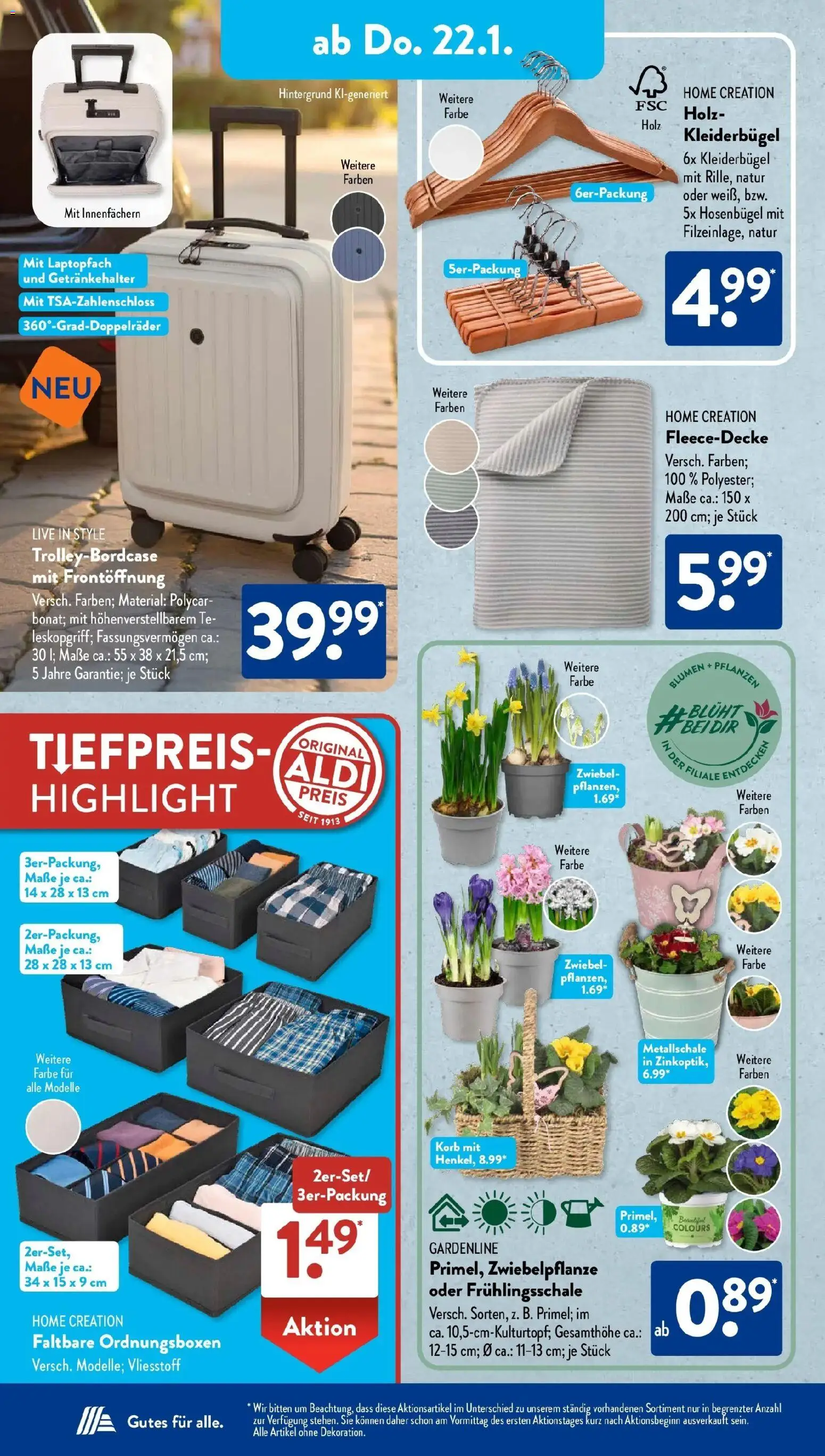Aldi Süd Prospekt 	 – gültig ab 19.01.2026 | Seite: 22 | Produkte: Korb, Blumen, Kleiderbügel, Home creation