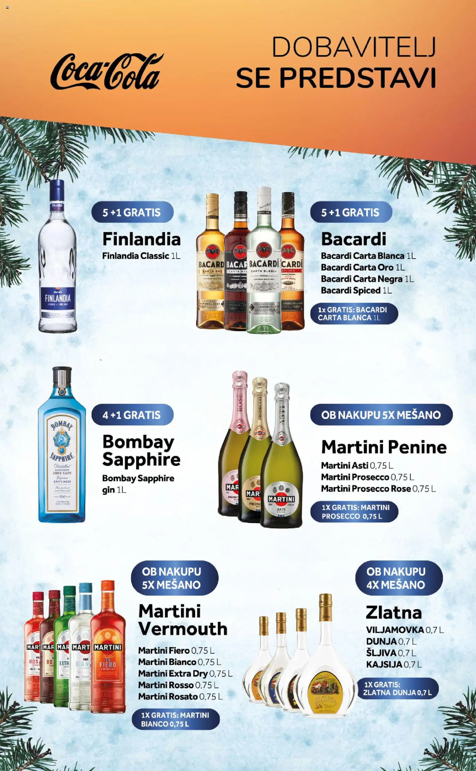 Novi Ahac katalog ponudbe – veljaven od 01.01.2026 | Stran: 9 | Izdelki: Gin