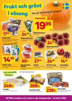 City Gross - erbjudanden - Förhandsvisning av reklamblad från butik City Gross aktuell från 20.10.2025 | Sida: 3