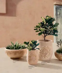 01.01.2026 tarihinden itibaren geçerli olan Mudo kataloğu önizlemesi | Sayfa: 8