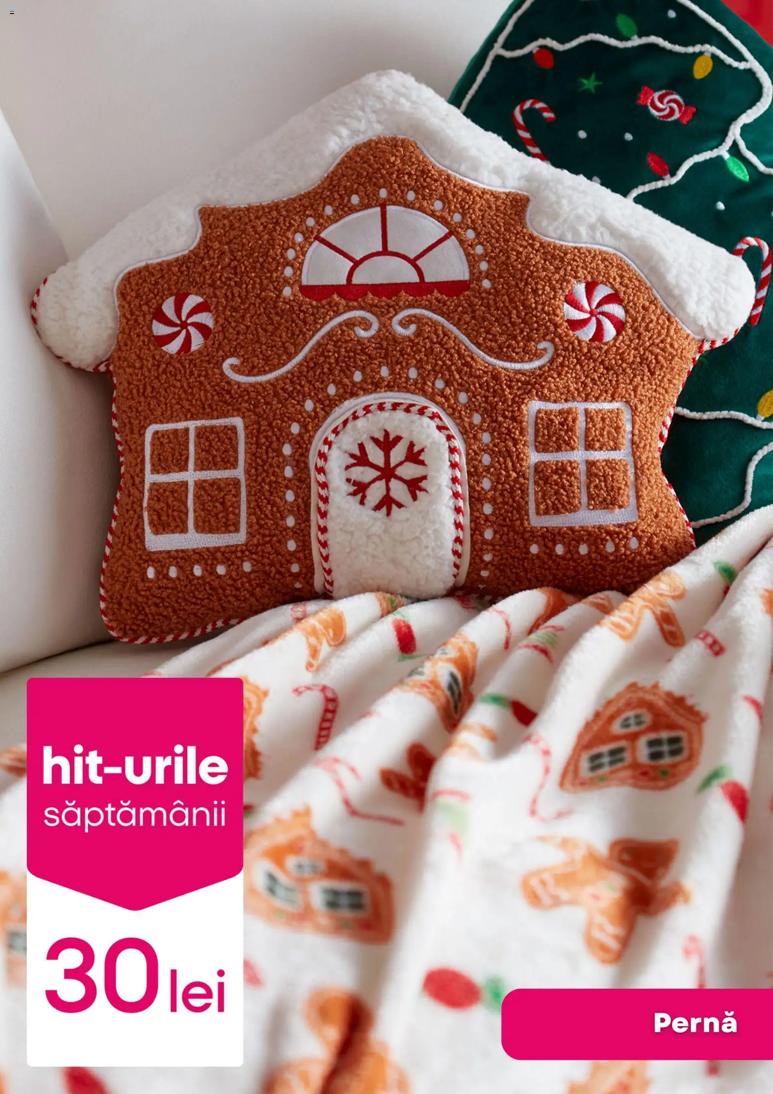 Noul catalog Pepco – valabil de la 20.11.2025 | Pagină: 6 | Produse: Pernă
