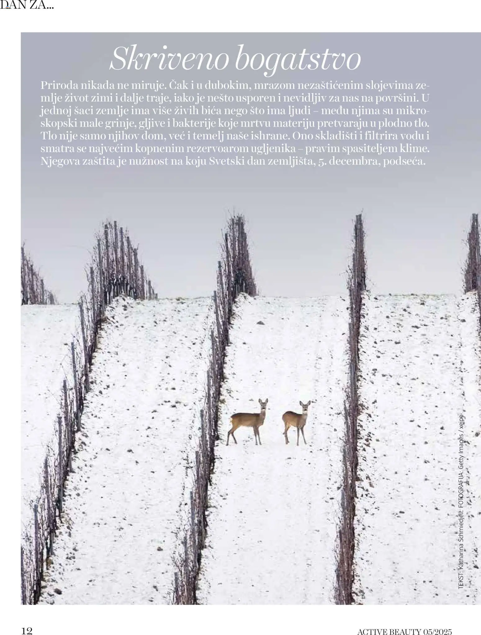 DM Drogerie katalog - važi od 08.12.2025 | Strana: 12 | Proizvode: Sto