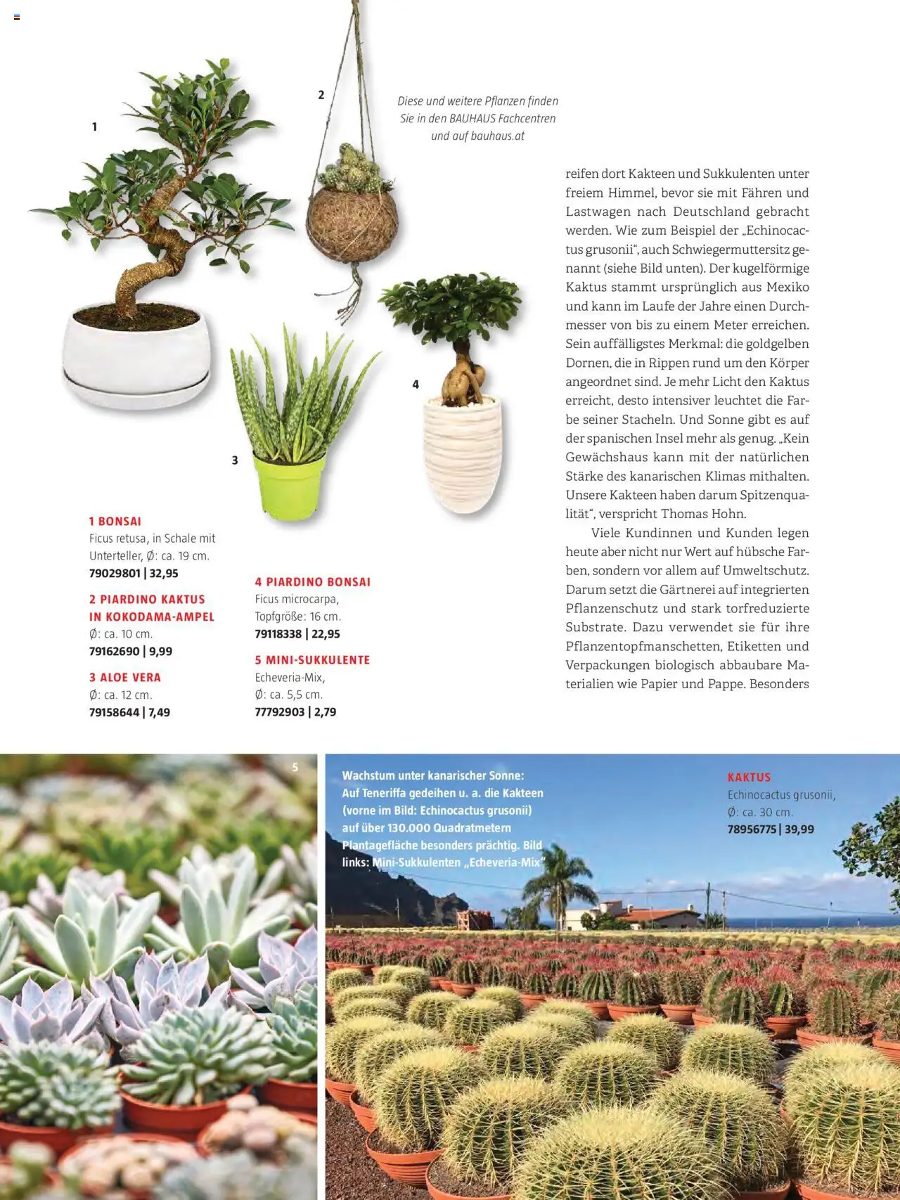 Bauhaus Passt! gültig ab 01.10.2025 | Seite: 32