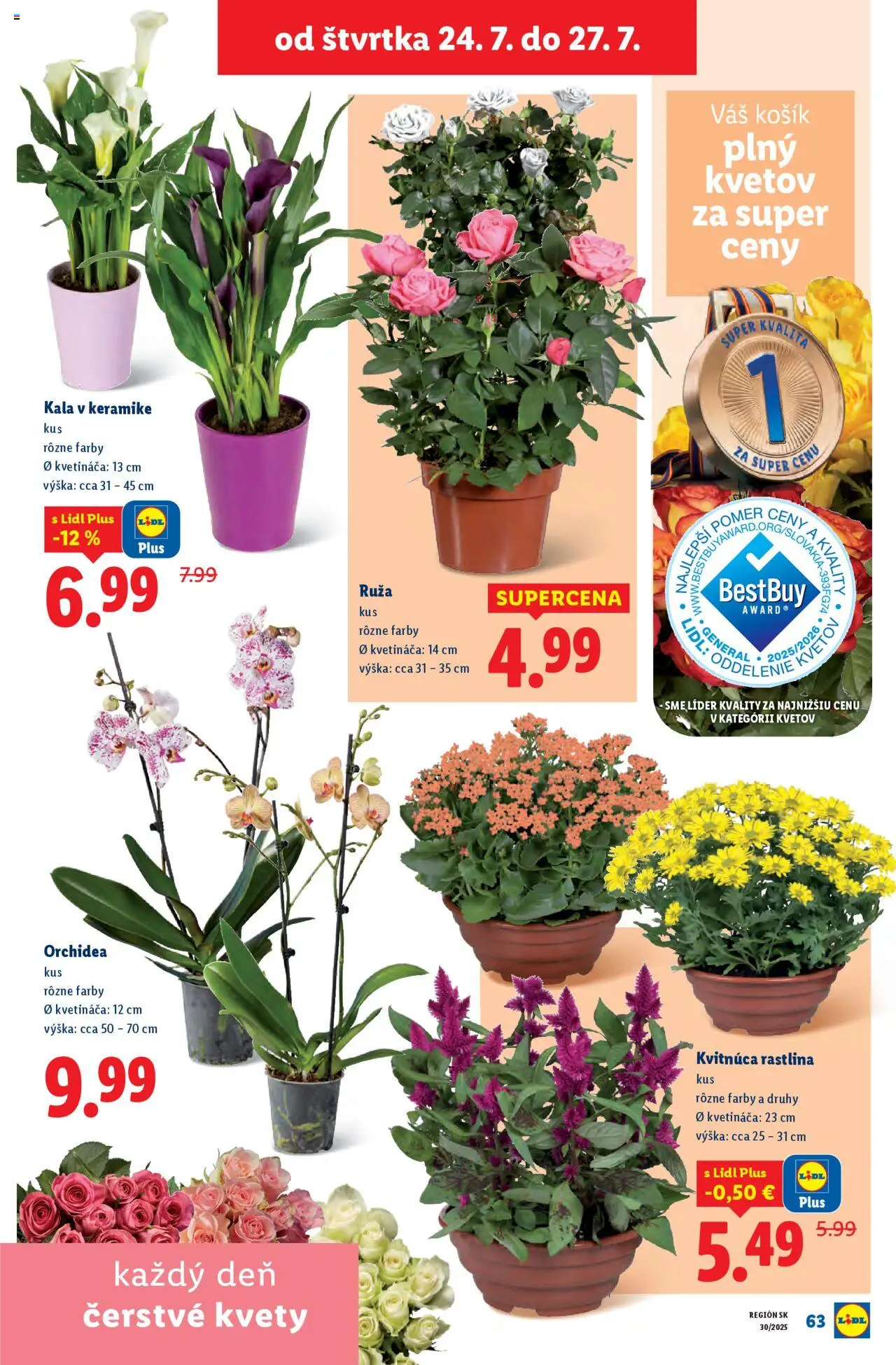 Lidl leták │ platný od 21.07.2025 | Strana: 87 | Produkty: Kvety, Orchidea