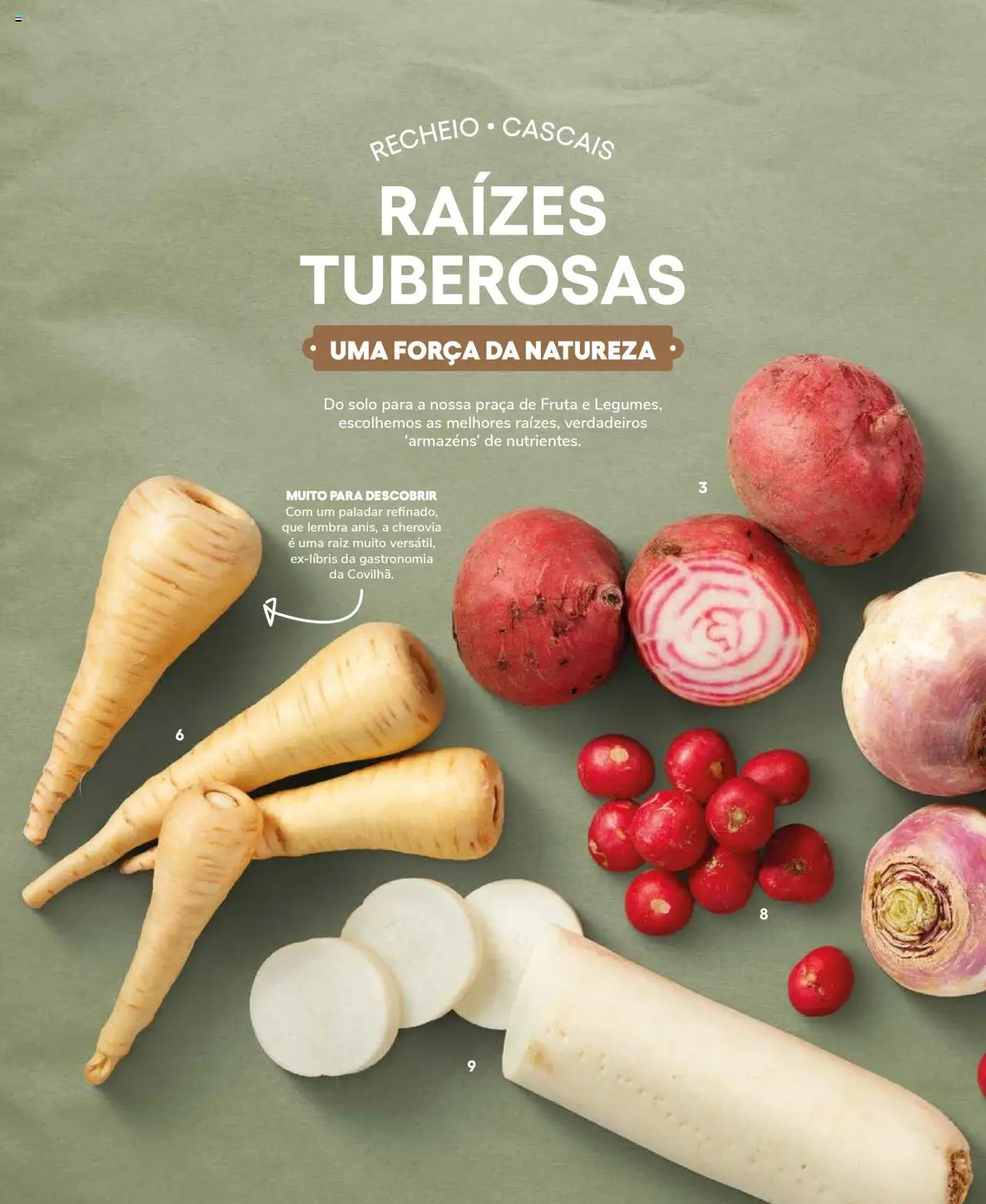 Recheio Frutas e Legumes │ válido de 19.09.2024 | Página: 26