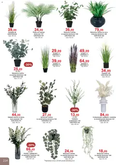 Pogląd oferty "Bodzio Katalog" - ważna od 01.10.2025 | Strona: 214 | Produkty: Kwiaty