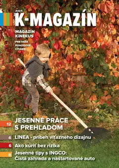 Kinekus leták platný od 27.10.2025